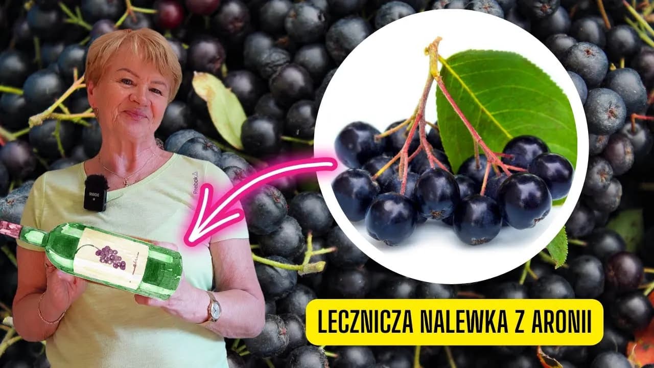 Nalewka z aronii: na co pomaga? Właściwości i dawkowanie