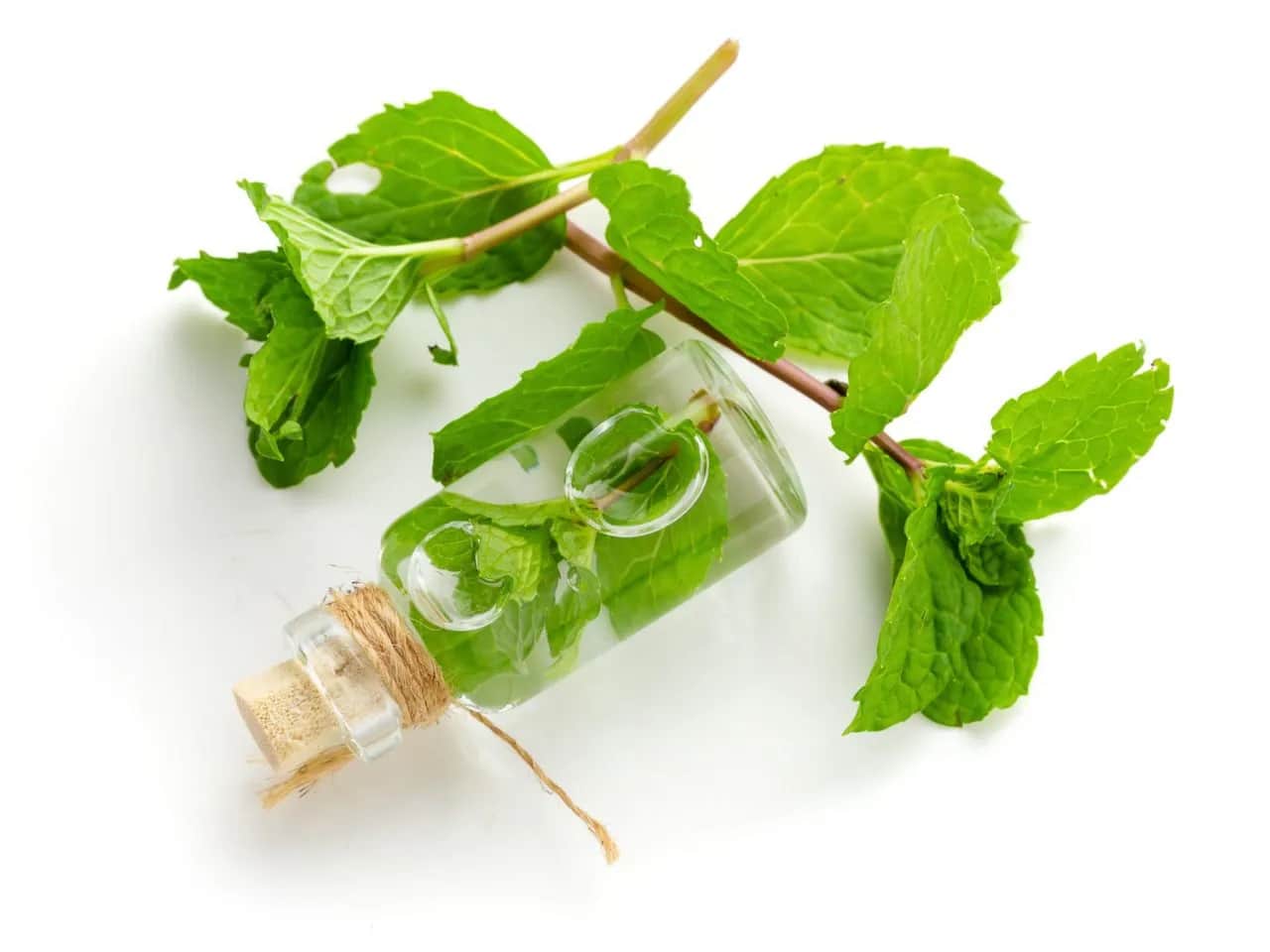 Domowa nalewka miętowa: Prosty przepis i prozdrowotne właściwości
